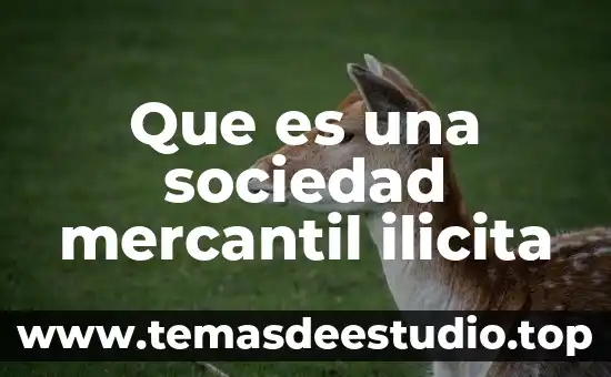 Que es homogeneidad en sociedad 3 Que es una sociedad mercantil ilicita