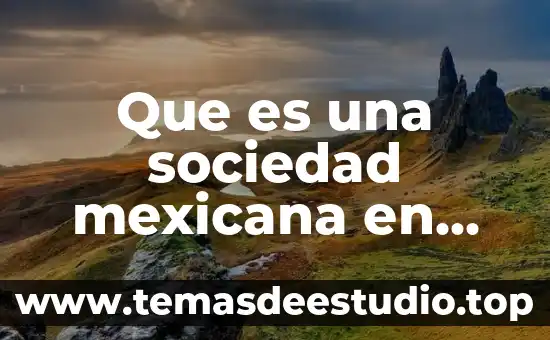 Que es una sociedad mexicana en derecho