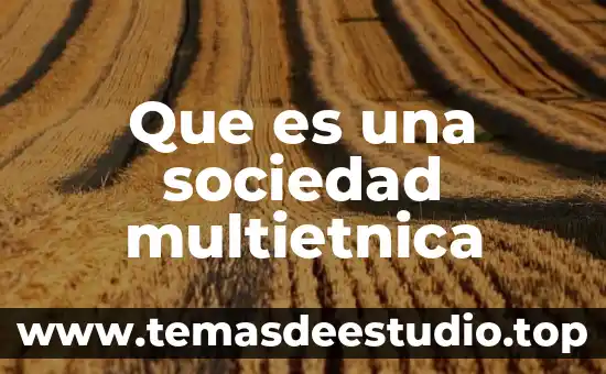Que es la sociedad posmoderna 5 Que es una sociedad multietnica