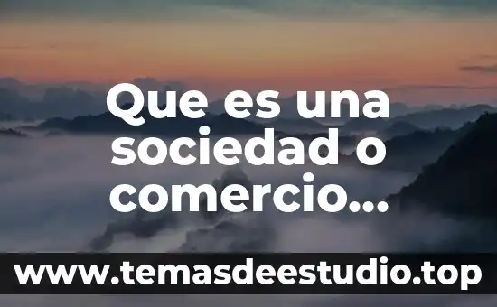 Que es una sociedad o comercio regular e irregular