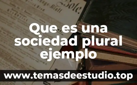 Que es plural ingles 5 Que es una sociedad plural ejemplo