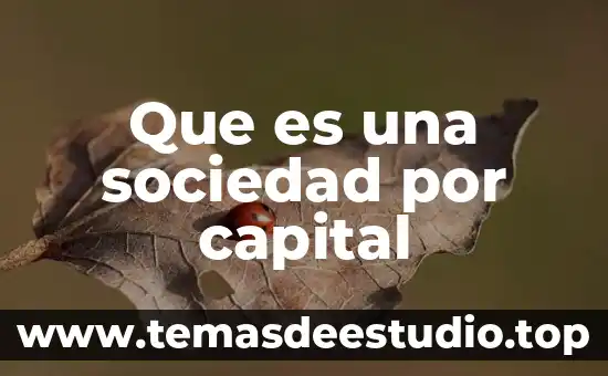 Que es la comunicación hart 7 Que es una sociedad por capital