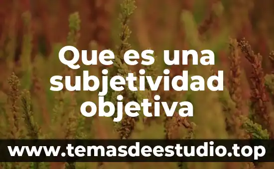 Que es una subjetividad objetiva