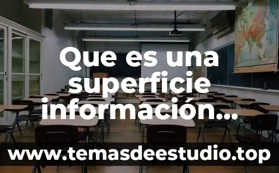 Que es un lay out de la planta 7 Que es una superficie información especifica