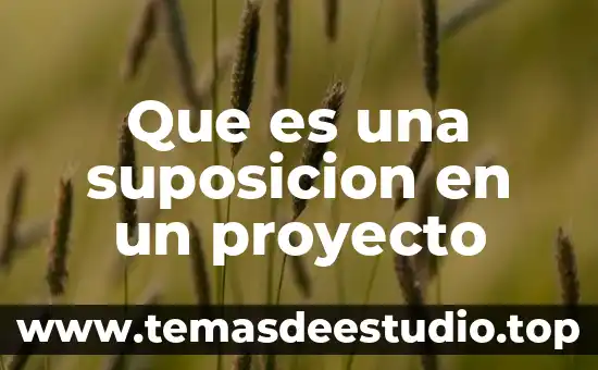 Que es proyecto de danza 6 Que es una suposicion en un proyecto