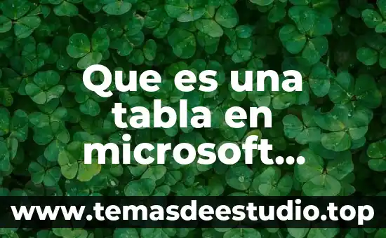 Qué es access definición 7 Que es una tabla en microsoft access