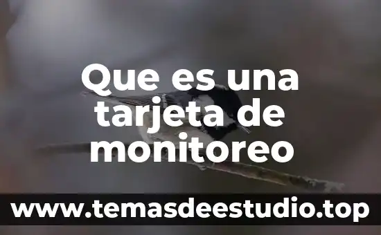 Que es nombre corto de la tarjeta liverpool 8 Que es una tarjeta de monitoreo
