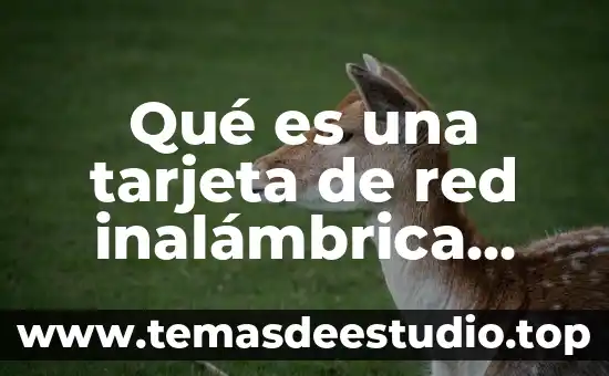 Que es la encriptacion aes en una red inalambrica 7 Qué es una tarjeta de red inalámbrica costos