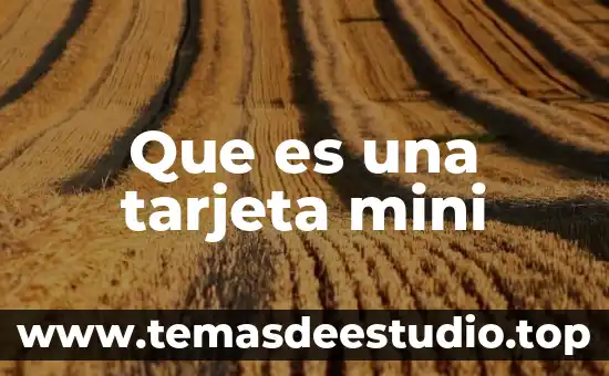 Que es el nombre de una tarjeta 7 Que es una tarjeta mini