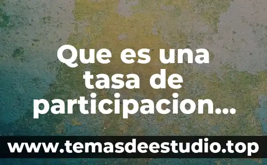 Que es la tasa o ritmo de planta 3 Que es una tasa de participacion economica