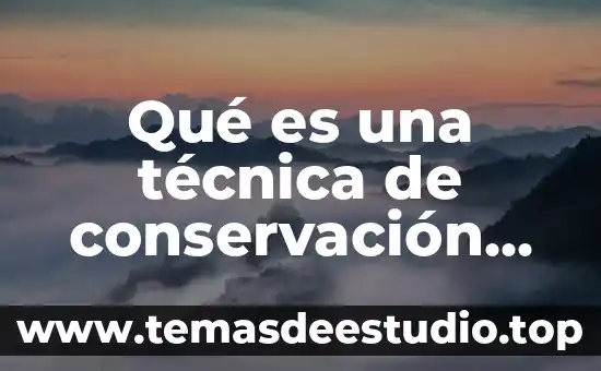 Agua de coco con piña para que es buena 5 Qué es una técnica de conservación de suelo y agua