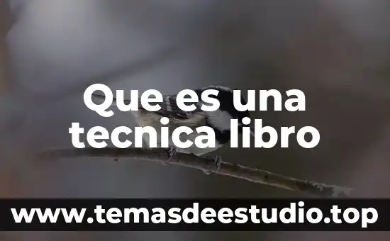 Que es una tecnica libro