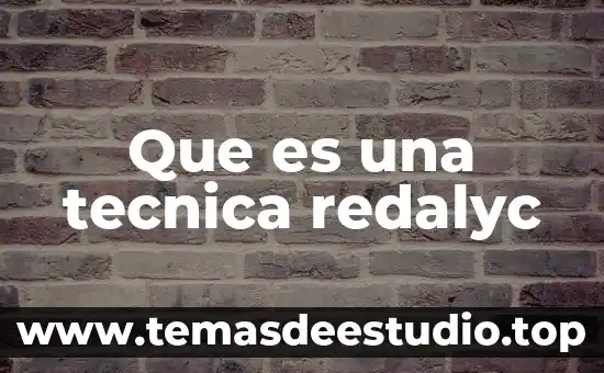 Que es una tecnica redalyc