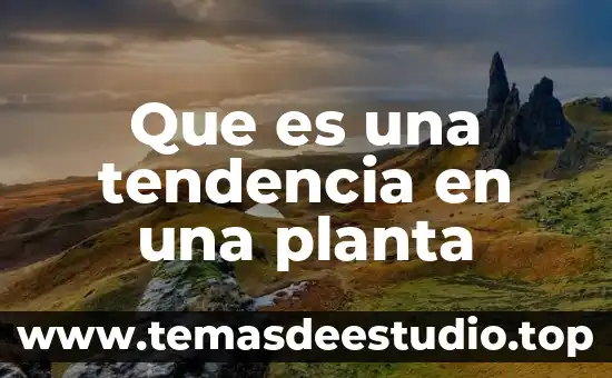 Que es una tendencia en arte 7 Que es una tendencia en una planta