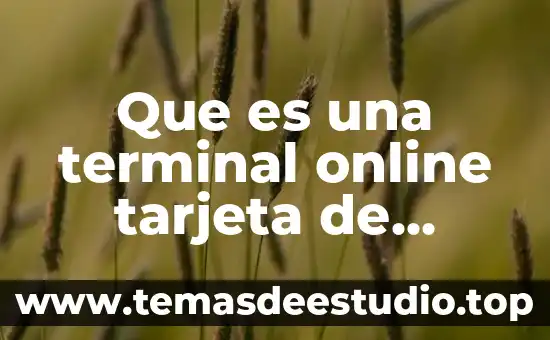 Qué es un símbolo terminal y no terminal 7 Que es una terminal online tarjeta de credito