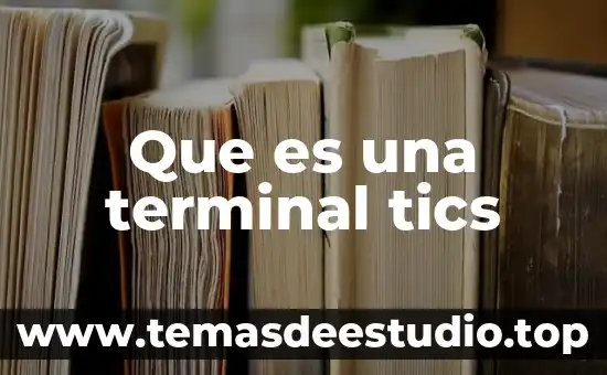 Inazuma eleven ares que es 7 Que es una terminal tics
