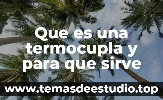 Qué es el vacuno definición 7 Que es una termocupla y para que sirve