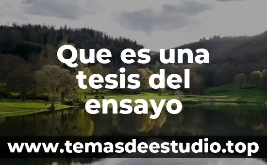 Que es el marco hisotrico en una tesis 5 Que es una tesis del ensayo