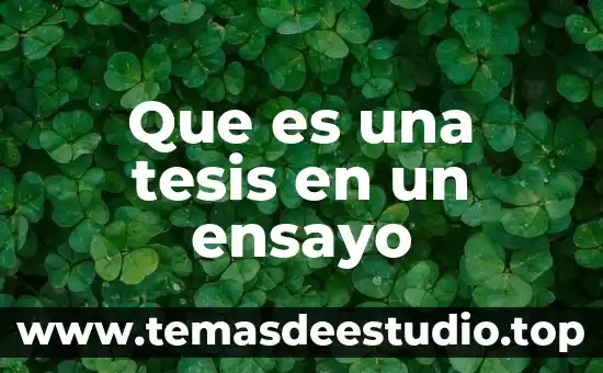 Que es una tesis en un ensayo