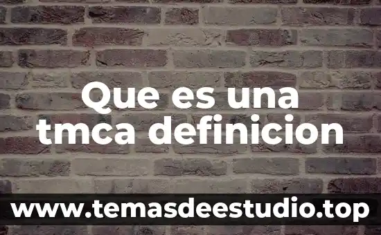 Qué es el bisonte definición 5 Que es una tmca definicion