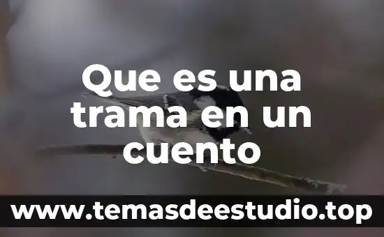 Para que es util aser variantes en un cuento 7 Que es una trama en un cuento