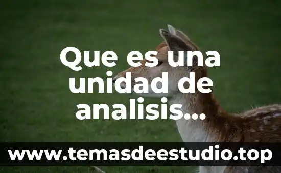 Que es un movimiento deudor en contabilidad ejemplos 3 Que es una unidad de analisis ejemplos
