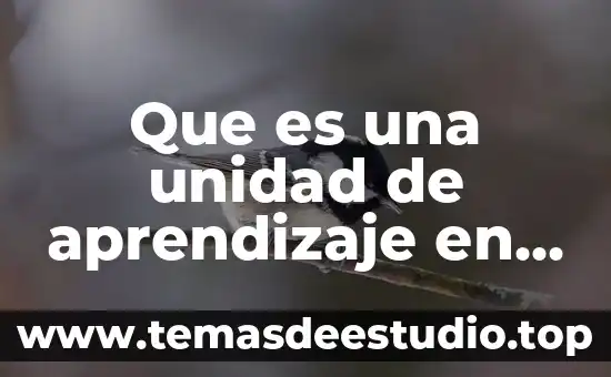 Que es la observacion en educacion inicial 8 Que es una unidad de aprendizaje en educacion inicial