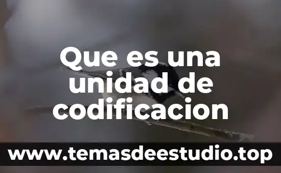 Que es significa p.a en unidad 5 Que es una unidad de codificacion