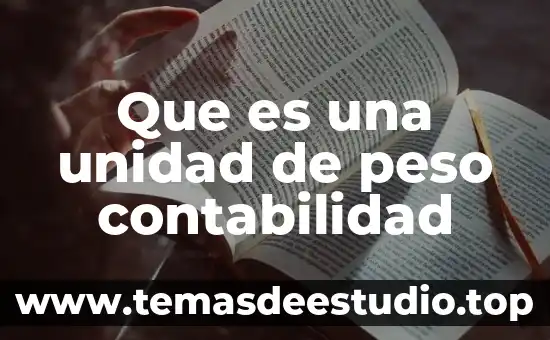 Que es el area de conocimiento en contabilidad 5 Que es una unidad de peso contabilidad