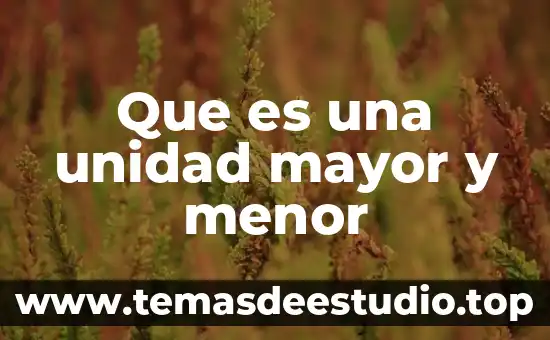 Que es significa p.a en unidad 4 Que es una unidad mayor y menor