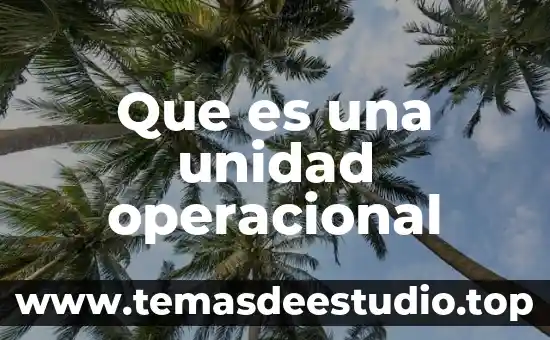 Que es una definición operacional 7 Que es una unidad operacional