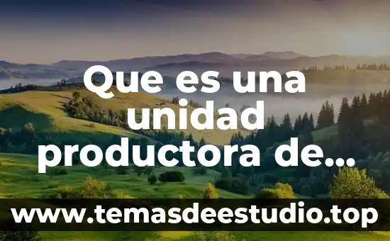 Que es la gerencia de los servicios de enfermeria 8 Que es una unidad productora de servicios de salud