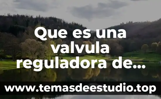 Que es una planta reguladora hidraulica 3 Que es una valvula reguladora de accion rapida
