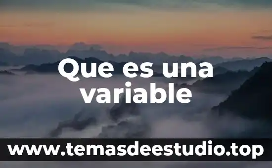 Que es el argumento de un plano 2d 4 Que es una variable