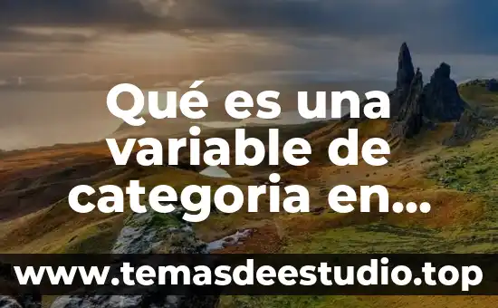 Que es una sociedad de capital variable y ejemplos 7 Qué es una variable de categoria en estadística