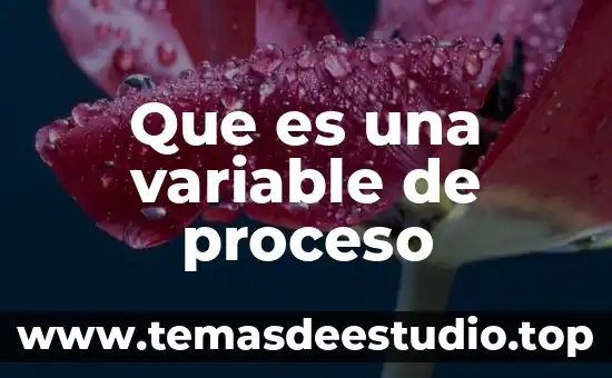 Que es una variable de proceso
