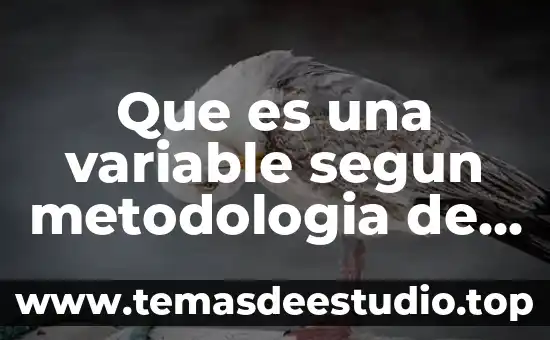 Que es la cultura del trabajo segun freud 7 Que es una variable segun metodologia de investigacion