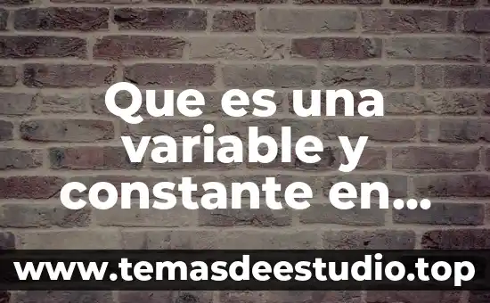 Que es una variable y constante en informatica