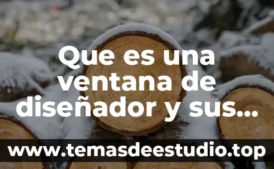 Que es Word y las partes de la ventana 7 Que es una ventana de diseñador y sus partes