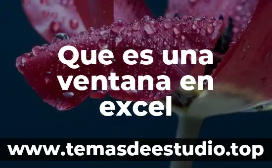 Que es Word y las partes de la ventana 6 Que es una ventana en excel