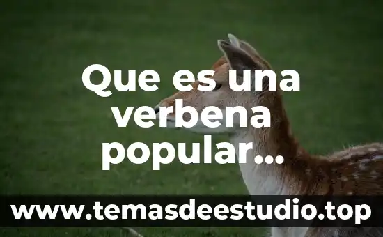 Que es mas popular zoom skype 3 Que es una verbena popular mexicana