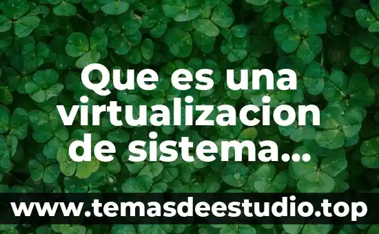Qué es un sistema operativo en la red 8 Que es una virtualizacion de sistema operativo