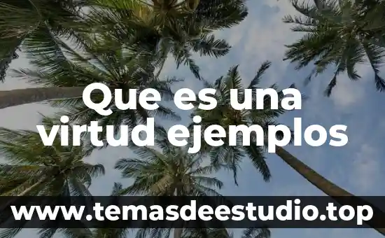 Por que es importante es tudiar la historia 3 Que es una virtud ejemplos