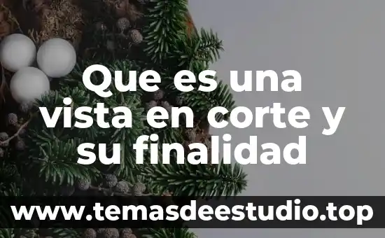 Que es una vista en corte y su finalidad