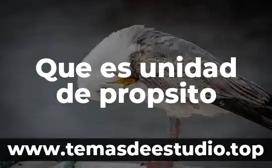 Que es unidad de propsito