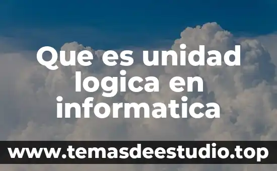 Que es unidad logica en informatica