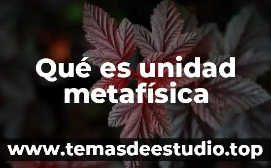 Que es la etica en metafisica 6 Qué es unidad metafísica