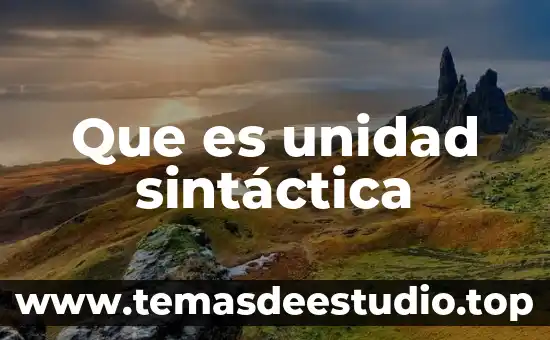 Que es cohesion sintactica ejempos 3 Que es unidad sintáctica