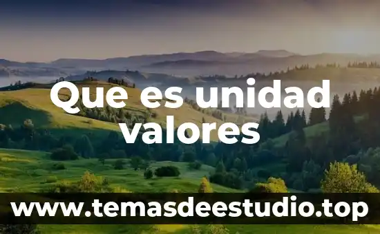 Que es una unidad de medida en administración 4 Que es unidad valores