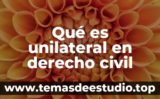 Qué es unilateral en derecho civil